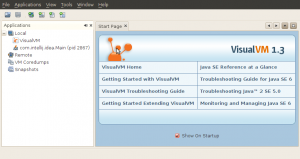VisualVM 1.3 Startup