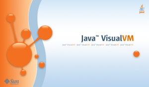 VisualVM start logo