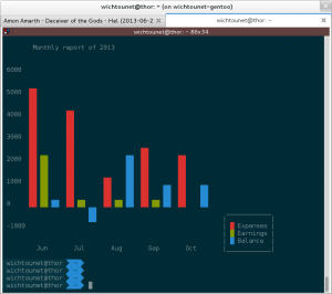 budgetwarrior monthly report